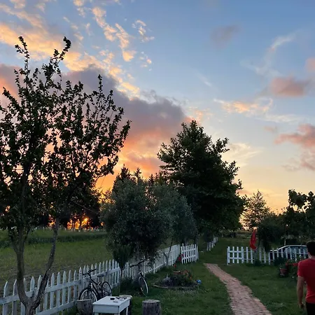 Holiday home Juniperus