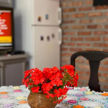 Juniperus Holiday home